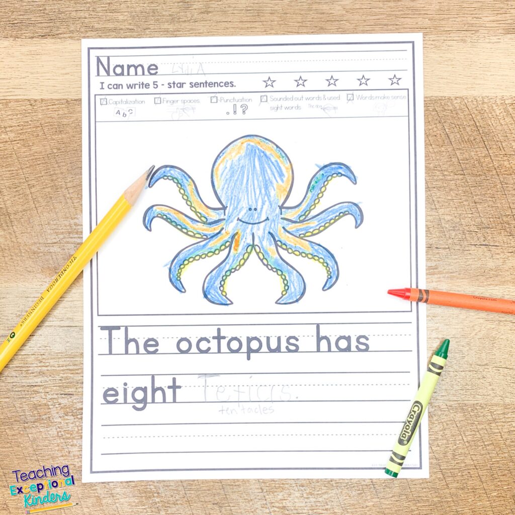 An octopus sentence writing picture prompt