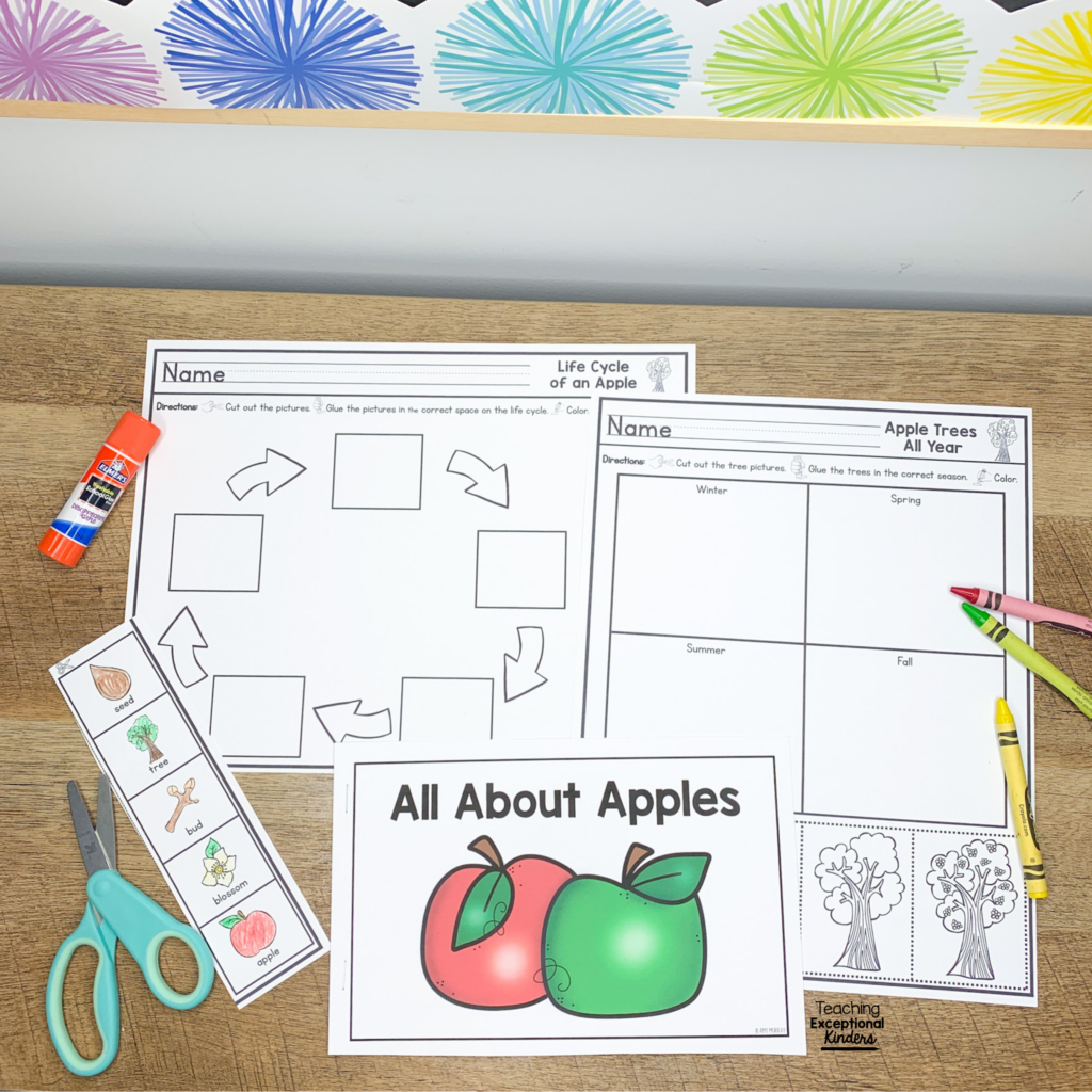 An apple mini reader and life cycle activities
