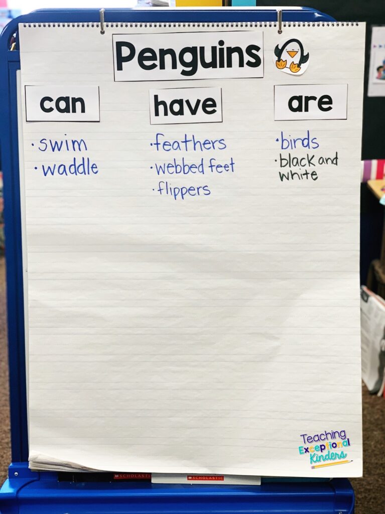 A can, have, are anchor chart for penguin facts