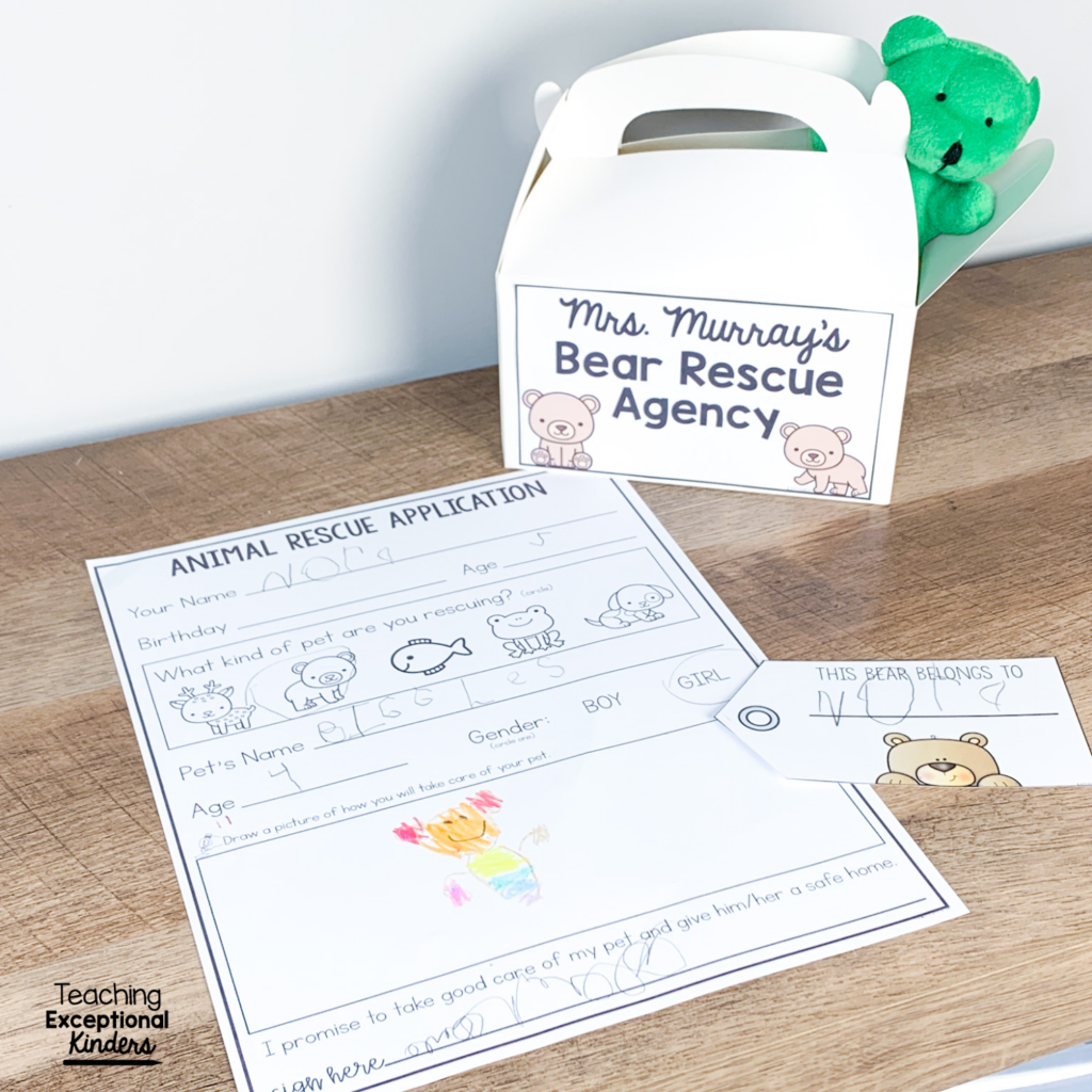 Bear adoption box and paperwork