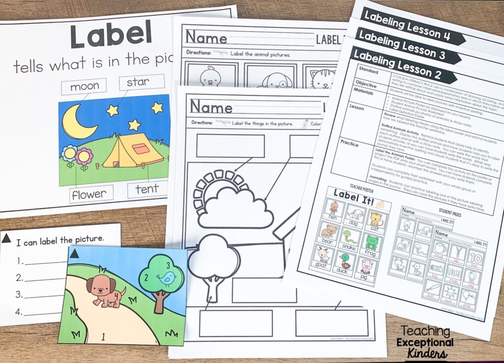 Assorted task cards and printables for a labeling unit