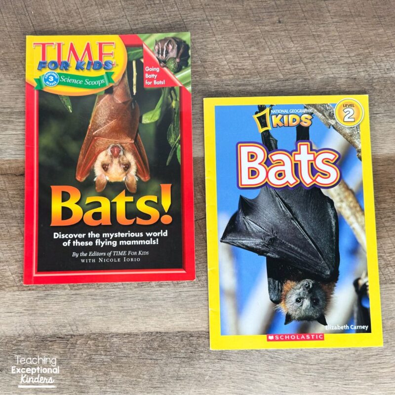 The Best Bat Books for Kindergarten Read Alouds - Teaching Exceptional ...